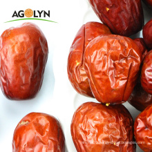 Chinese Xinjiang Bulk Sweet Organic Dry Red Date Jujube